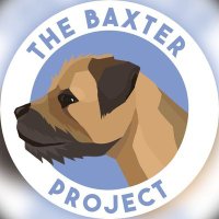 The Baxter Project(@Baxter_Project) 's Twitter Profile Photo