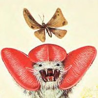 Nati (@nainati) 's Twitter Profile