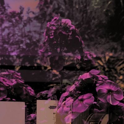 javi_bustos7's profile picture. WickedStar#0414  @operationSIN SINNER   #CloneForce #SarugamiNFT  Amoeba Kingdom | Alphablocks |