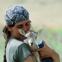 Ece Soydam (@soydam_ece) 's Twitter Profile Photo