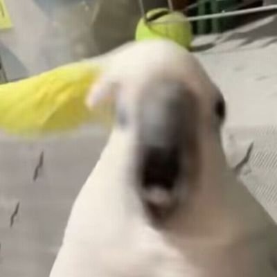 涯七七🍧さんのプロフィール画像