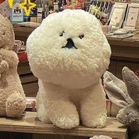 KANA (@kana_bgyjs) 's Twitter Profile Photo