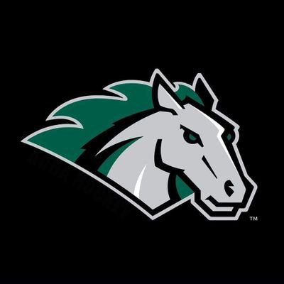 ACHA M2 - ACCHL - Established: Fall 2017
ACHA M3 - ACCHL - Established Fall 2021
DM for inquiries or contact @coachurgo / murgo@stevenson.edu