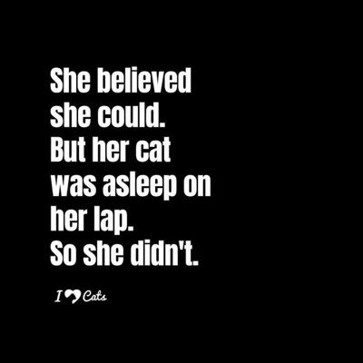 ConnieR66268319's profile picture. 