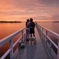 Workmail (@workmail1552) 's Twitter Profile