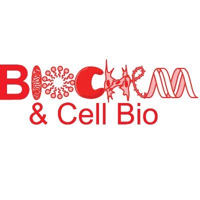 Keep up to date with the Department of Biochemistry & Cell Biology at Boston University Medical Campus!