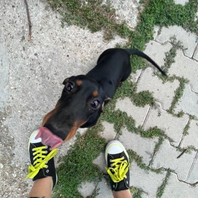 ___kariin's profile picture. nejde mi internet