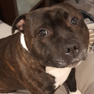 14Mawaa43031's profile picture. Just a 17 year old, enjoying Murder Drones, VRChat, Hazbin Hotel, Helluva Boss, and so much more ....