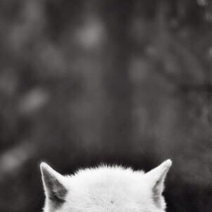 is_numa12's profile picture. 石とハンドメイドがメインで見てます。