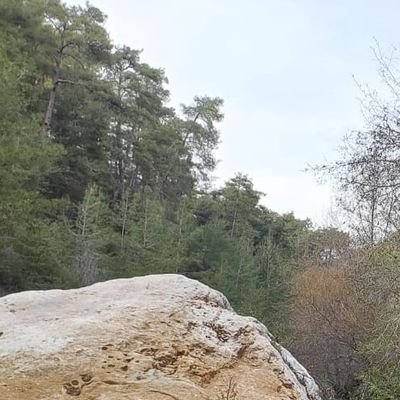 Anks59168506's profile picture. 