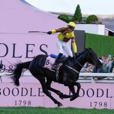 Love the game, love the form—don’t always get it right, but that’s racing! Casual punter sharing thoughts, bets, and the occasional winner. Follow for the ride!