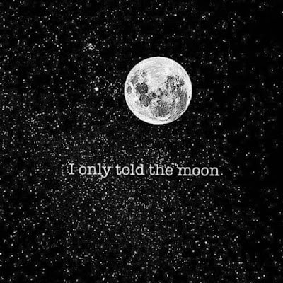 mayhugh99's profile picture. 