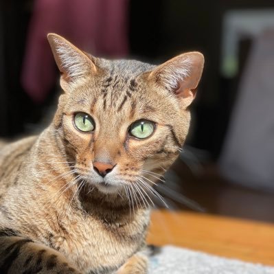 MellyMel918's profile picture. 