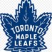 leafs for life (@leafsfanis) Twitter profile photo