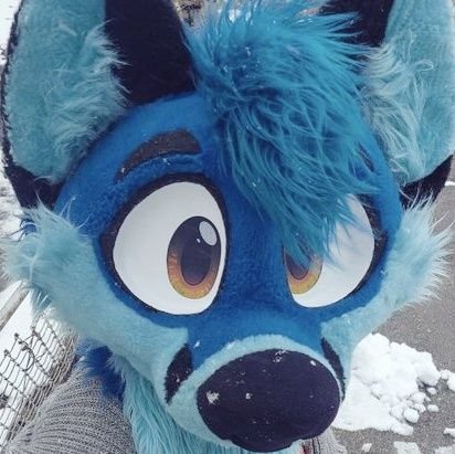 Just a cute  blue fox :3  🏳‍⚧Transfem Enby(she/they)(32)
Suit by @oakleycreations