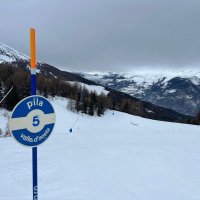 Armfield Ski Trip (@skiarmfield) 's Twitter Profile