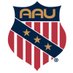 AAU College Hockey (@AAUCollegeHoc) Twitter profile photo