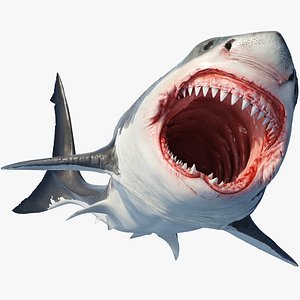 jaws803 Profile Picture