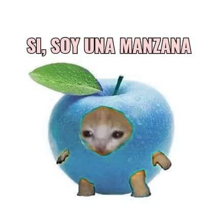 Nací por mi madre y morire por Alex Quackity /

Todxs somos manzanas /

Cualquier pronombre está bien :)