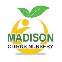 Madison Citrus Nursery(@MadisonCitrus) 's Twitter Profile Photo