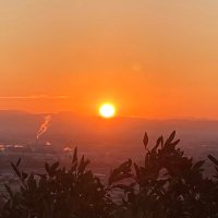 ライプニッツォ☃️ (@leibnitz_o_31) 's Twitter Profile Photo ライプニッツォ☃️ (@leibnitz_o_31) 's Twitter Profile Photo