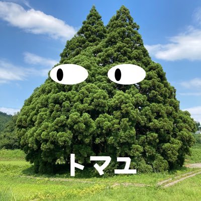 令和２年に両学長の存在を知る🦁/令和３年１０月ＦＰ２級合格（資産設計提案）🎉/令和３年１２月に待望の🚼誕生✨ /令和４年７月２３日リベシティ入会🐧⇨令和５年９月退会😑/簿記３級勉強中/ブログ挑戦中/新米パパ＆先輩パパ見つけたらフォローさせて貰ってます🙇‍♂️