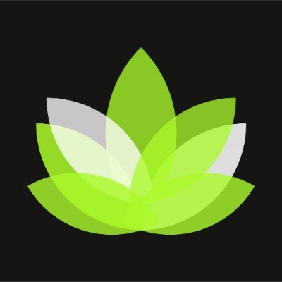Lotus, brings new usecases for your NFTs.
Your ultimate permissionless NFT raffle platform 🪷
Deployed on #Starknet