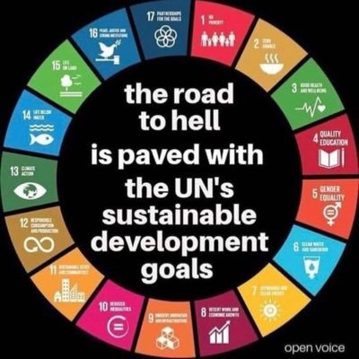 victori00386856's profile picture. 