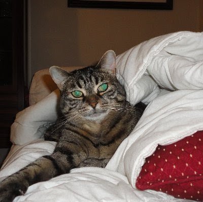 GLDPprayer's profile picture. 