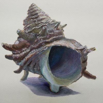 MF32_cgschool's profile picture. CGの専門学校の生徒です。
2026年度卒予定　アニメーション制作に興味を持っています。
アニメーションを主軸に、幅広くCGの学習をしています。