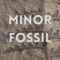 Minor Fossil (@minorfossil) 's Twitter Profile