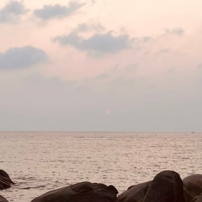 linusleoj's profile picture. existential mess