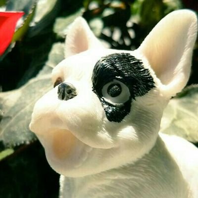 siosiosio0's profile picture. 