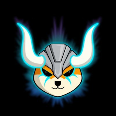 Space Floki (π,π§‘) Profile
