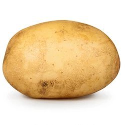 OctoberPotato Profile Picture