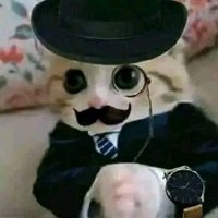 Bardo lopd (@bardolopd) 's Twitter Profile