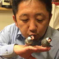 木村興希=難局で希望を興す男 (@qb_gm9) 's Twitter Profile