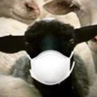 Shwaewi M&M&M MaskedMysteryMan (@dataloreshwaewi) 's Twitter Profile Photo Shwaewi M&M&M MaskedMysteryMan (@dataloreshwaewi) 's Twitter Profile Photo