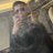 l803473's profile image