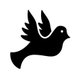 Paloma (@palomaanalitica) Twitter profile photo Paloma (@palomaanalitica) Twitter profile photo