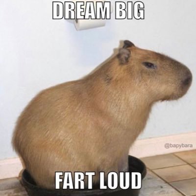 dream big fart loud