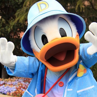 ドナ/ホセパン/キヤノン📷/ショーパレグリ/MCU/ゲーム(Switch)/目指せ海外パーク/たまに横浜DeNAベイスターズ
