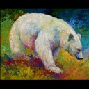 Matthew Runge - @codered_7 - Twitter