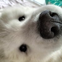 ChelleRyan (@michell04430834) 's Twitter Profile Photo ChelleRyan (@michell04430834) 's Twitter Profile Photo