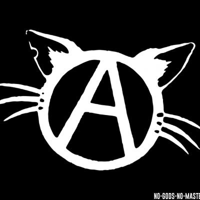 Anarcho Cats 🐱🏴