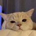 Walter (@hankyux) Twitter profile photo Walter (@hankyux) Twitter profile photo