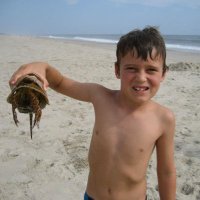 Lairden Rogge (@lairdenrogge) 's Twitter Profile