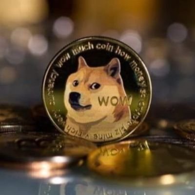 Narendr69723538's profile picture. 🇮🇳INDIAN🇮🇳