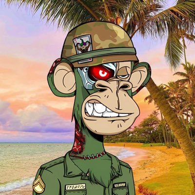 G I Ape in Hawaii 2 is a Character who appears to be a war vet,  yet it's not clear which war. he visits various points of interest throughout Hawaii. Aloha!!