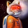 WolfOfBayArea's profile picture. #bitcoin #Tesla #TSLA